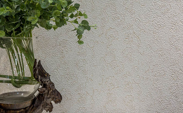 硅藻泥施工技術規范!